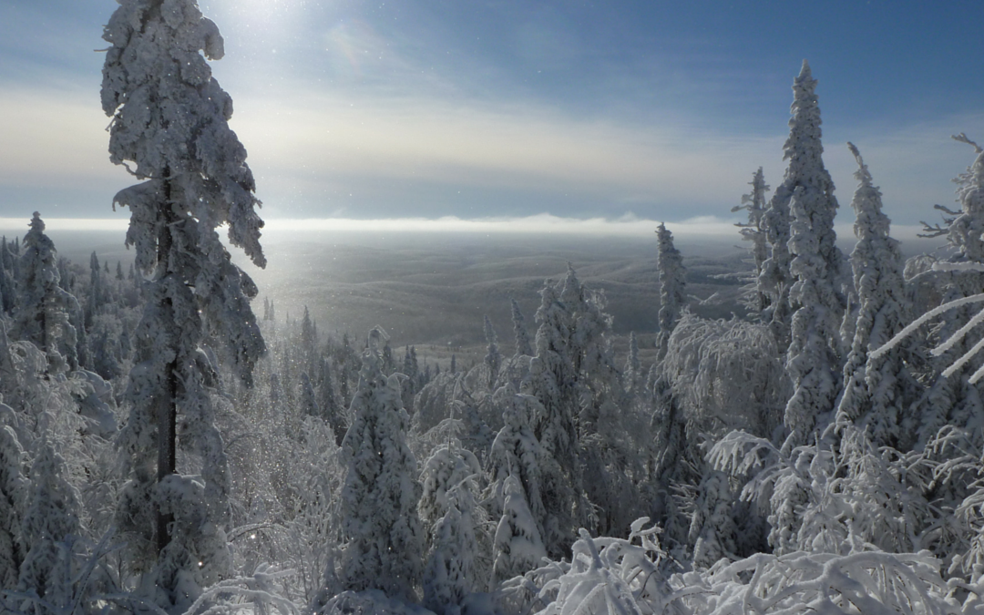 Ski De Fond Parc Montagne Du Diable