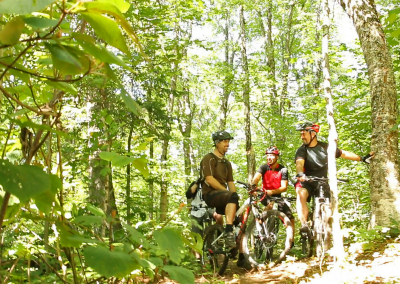 Mountain Biking Parc Montagne Du Diable