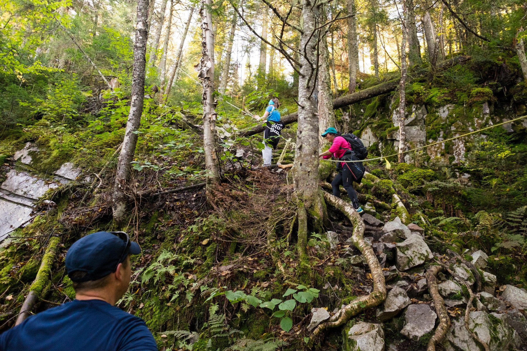 Hiking Parc Montagne Du Diable